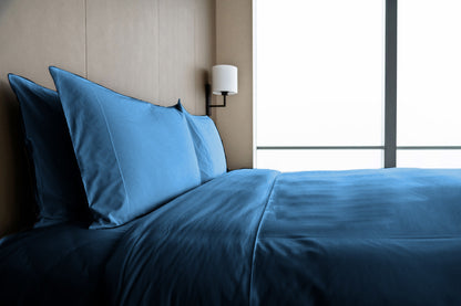 Elegant Bed Sheet with Pillow Covers – Soft, Durable, and Stylish Set, Bachelor Button
